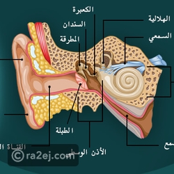 نشعر بالهواء عن طريق حاسة